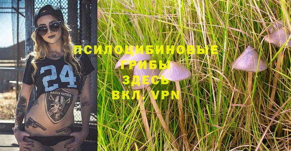 эйфоретик Верхний Тагил