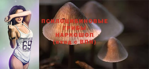 эйфоретик Верхний Тагил
