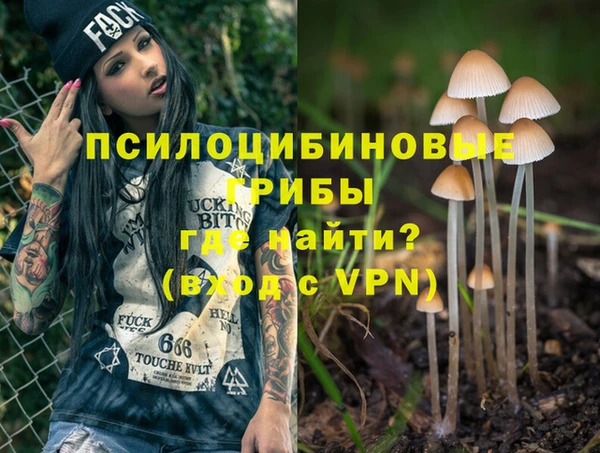 стаф Семилуки