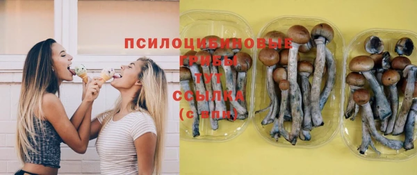 крисы Верхнеуральск