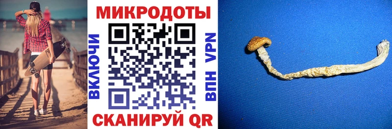 Галлюциногенные грибы мухоморы  OMG сайт  Гагарин  наркота 